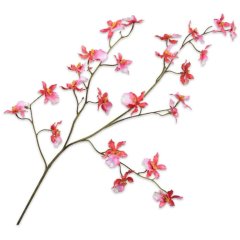 Орхідея, гілка, помаранчева/бежево-рожева, 100 см Silk-ka 139716