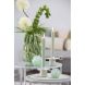 Декоративний елемент &Oslash;8x8 см CORAL скло зелене Light&Living 7492676