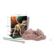 Набір для розкопок 4M Скелет тиранозавра 00-03221