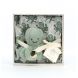 Подарунковий набір Восьминіг (пелюшка, м'яка іграшка в коробці) Jellycat (Джеллі кет) 20x20 ODY2SET, Бірюзовий