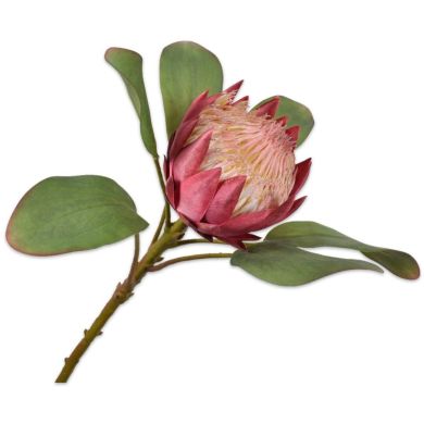 Протея, стебель, розовая, 65 см. Silk-ka 138374