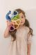 Іграшка з дерева Колір павліна Tender Leaf Toys TL8338