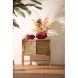 Декоративная посуда для хранения с крышкой &Oslash;17x16 см CORAL, красная Light&Living 5741217