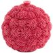 Декоративная посуда для хранения с крышкой &Oslash;17x16 см CORAL, красная Light&Living 5741217