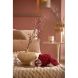 Декоративная посуда для хранения с крышкой &Oslash;17x16 см CORAL, красная Light&Living 5741217