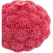 Декоративная посуда для хранения с крышкой &Oslash;17x16 см CORAL, красная Light&Living 5741217