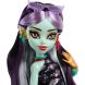 Кукла Джинифайер Монстро-классика Monster High HYV58