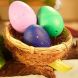 Іграшка, що зростає, в яйці &laquo;Eggy Animals&raquo; ПТАШКИ (у дисплеї) 91/CN22