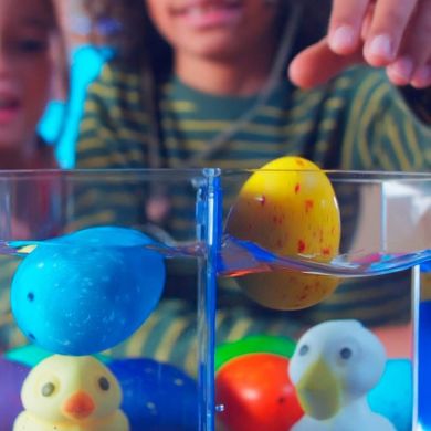 Іграшка, що зростає, в яйці &laquo;Eggy Animals&raquo; ПТАШКИ (у дисплеї) 91/CN22