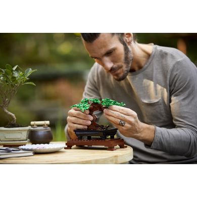 Конструктор Дерево бонсай LEGO Botanicals 10281