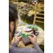 Конструктор Дерево бонсай LEGO Botanicals 10281