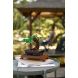 Конструктор Дерево бонсай LEGO Botanicals 10281