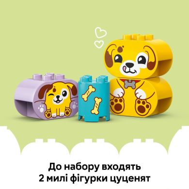 Конструктор Сортувальник фігур: будинок для цуценят LEGO DUPLO My First 10441
