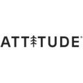 Attitude
