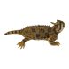 Фігурка Lanka Novelties Рогата ящірка 30 см 21549