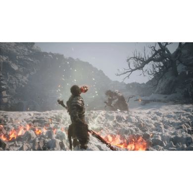 Гра консольна PS5 Black Myth: Wukong, BD диск 5056635611864