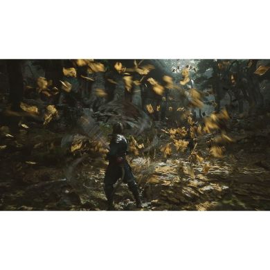 Гра консольна PS5 Black Myth: Wukong, BD диск 5056635611864