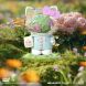 Колекційна фігурка MIGHTY JAXX серії Sanrio: Azuma Makoto - ХЕЛОУ КІТТІ (в ас., у дисп.) BB23SRAM90201