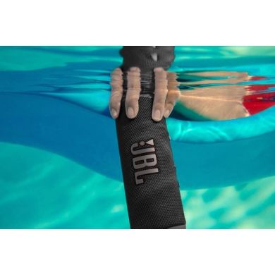 Акустична система портативна JBL Flip 6 Чорна JBLFLIP6BLKEU