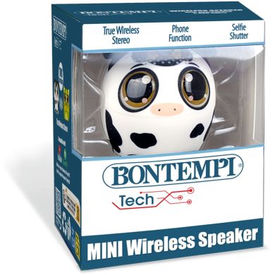 Колонка беспроводной связи BONTEMPI 49 0100