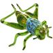 Мягкая игрушка Конек Саранча зеленый, ширина 27 см Hansa 6879