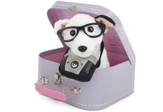 М'яка іграшка Studio Pets &laquo;Бультер'єр Чарлі&raquo; 16 см 6230