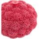 Декоративная ваза с крышкой &Oslash;17&times;16 см CORAL, красная Light&Living 5741217
