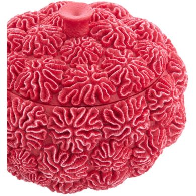 Декоративная ваза с крышкой &Oslash;17&times;16 см CORAL, красная Light&Living 5741217