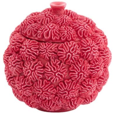 Декоративная ваза с крышкой &Oslash;17&times;16 см CORAL, красная Light&Living 5741217