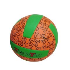 М'яч волейбольний 2 кольори в асортименті VB190835