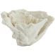 Орнамент 23x16x13 см CORAL кремовий Light&Living 7610343