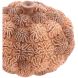 Декоративна ваза з кришкою &Oslash;20&times;15,5 см, CORAL, персиково-коричнева Light&Living 5741382