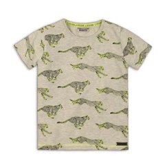 Футболка дитяча DJ Dutchjeans 122 Сірий 45C-34190