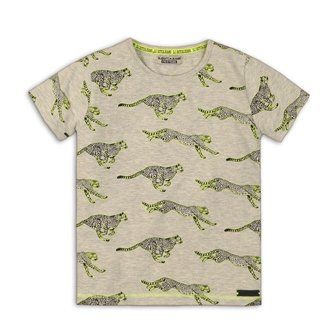 Футболка детская DJ Dutchjeans 122 Серый 45C-34190