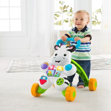 Інтерактивні ходунки Зебра Fisher-Price англ.мов DLD80