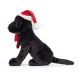 М'яка Іграшка новорічний Лабрадор Pippa 22 см, Jellycat (Джеллі Кет) PIP3FBL