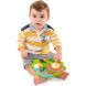 Іграшка музична Chicco Sensory Flower 10156.00