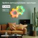 Набір настінних світильників Govee H6066 Glide Hexa Pro LED Light Panels, 10шт, RGBIC, WI-FI/Bluetoo H6066302