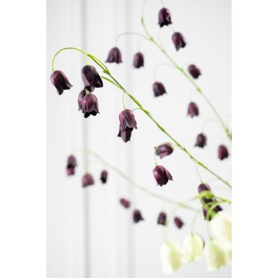 Фритилярия, ветка, бордовая, 97 см. Silk-ka 160629