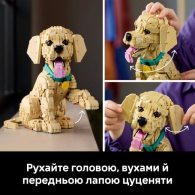 Конструктор Цуценя золотистого ретривера Icons Lego 11384