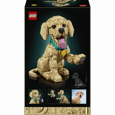 Конструктор Цуценя золотистого ретривера Icons Lego 11384