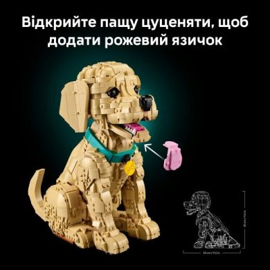 Конструктор Цуценя золотистого ретривера Icons Lego 11384