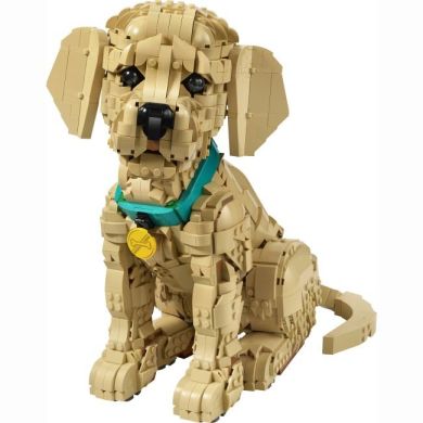 Конструктор Цуценя золотистого ретривера Icons Lego 11384