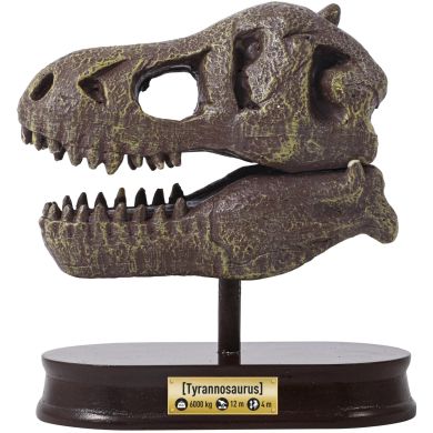 Музейный череп динозавра T-Rex BUKI FRANCE 2130
