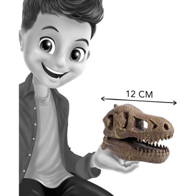 Музейный череп динозавра T-Rex BUKI FRANCE 2130