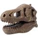 Музейный череп динозавра T-Rex BUKI FRANCE 2130