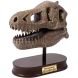 Музейный череп динозавра T-Rex BUKI FRANCE 2130