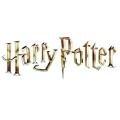 Wizarding World