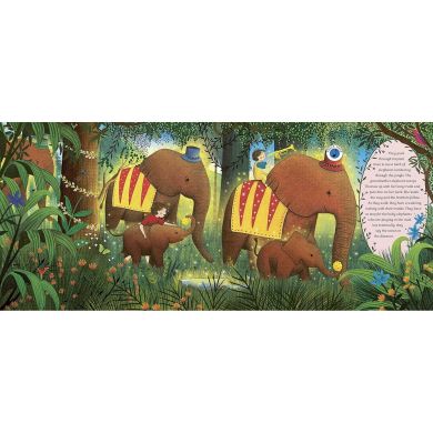 Книга The Story Orchestra: Carnival of the Animals 9780711249523