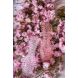 Ваза для квітів Fugu Rosaline, d11,5 650 ml KLIMCHI 80923/30-72/27, 30